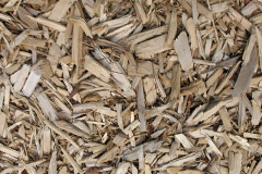 biomass boilers Curran